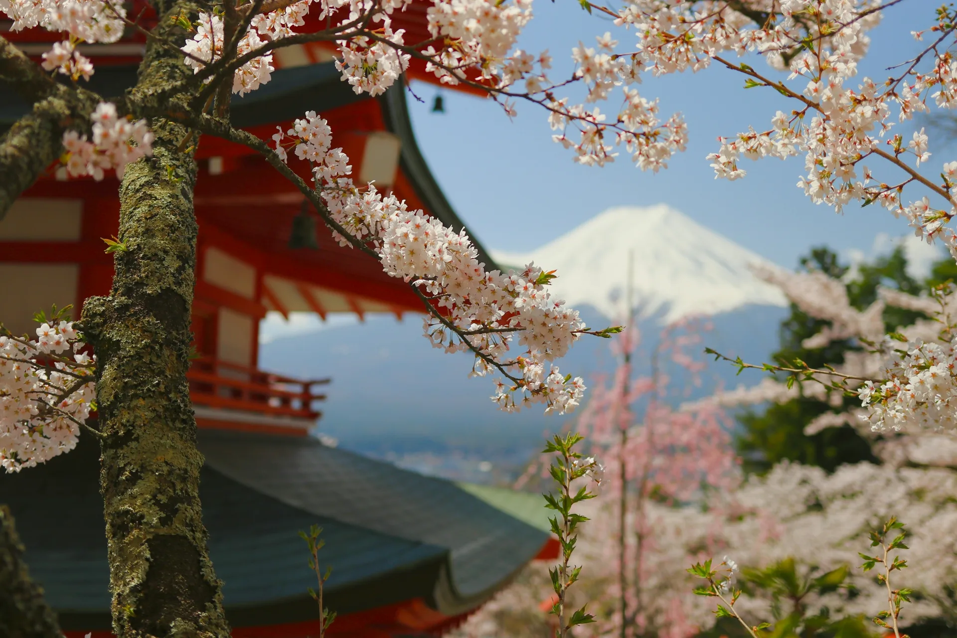 Japon — destination voyage Amanéa