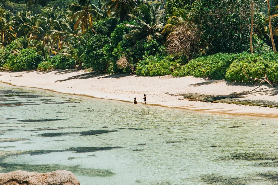 Une expertise de l'océan Indien, pas un catalogue — Seychelles