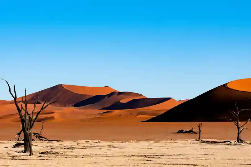 Namibie, l'immensité africaine — itinéraire Amanéa Voyage