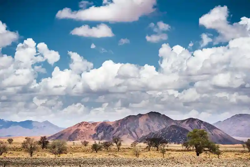 Afrique du Sud de Johannesbourg aux réserves — itinéraire Amanéa Voyage