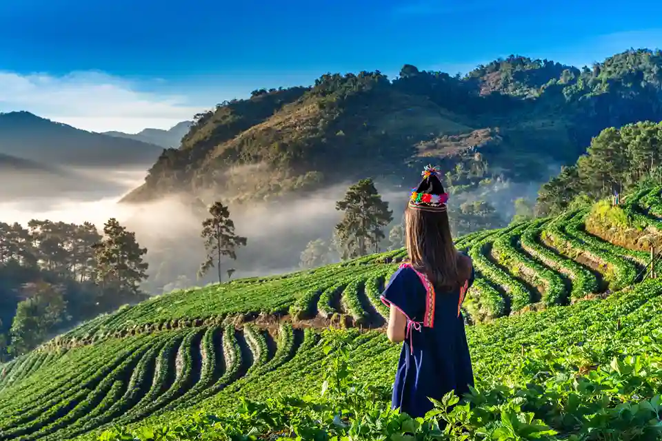 Sri Lanka, île sacrée et vivante — itinéraire Amanéa Voyage
