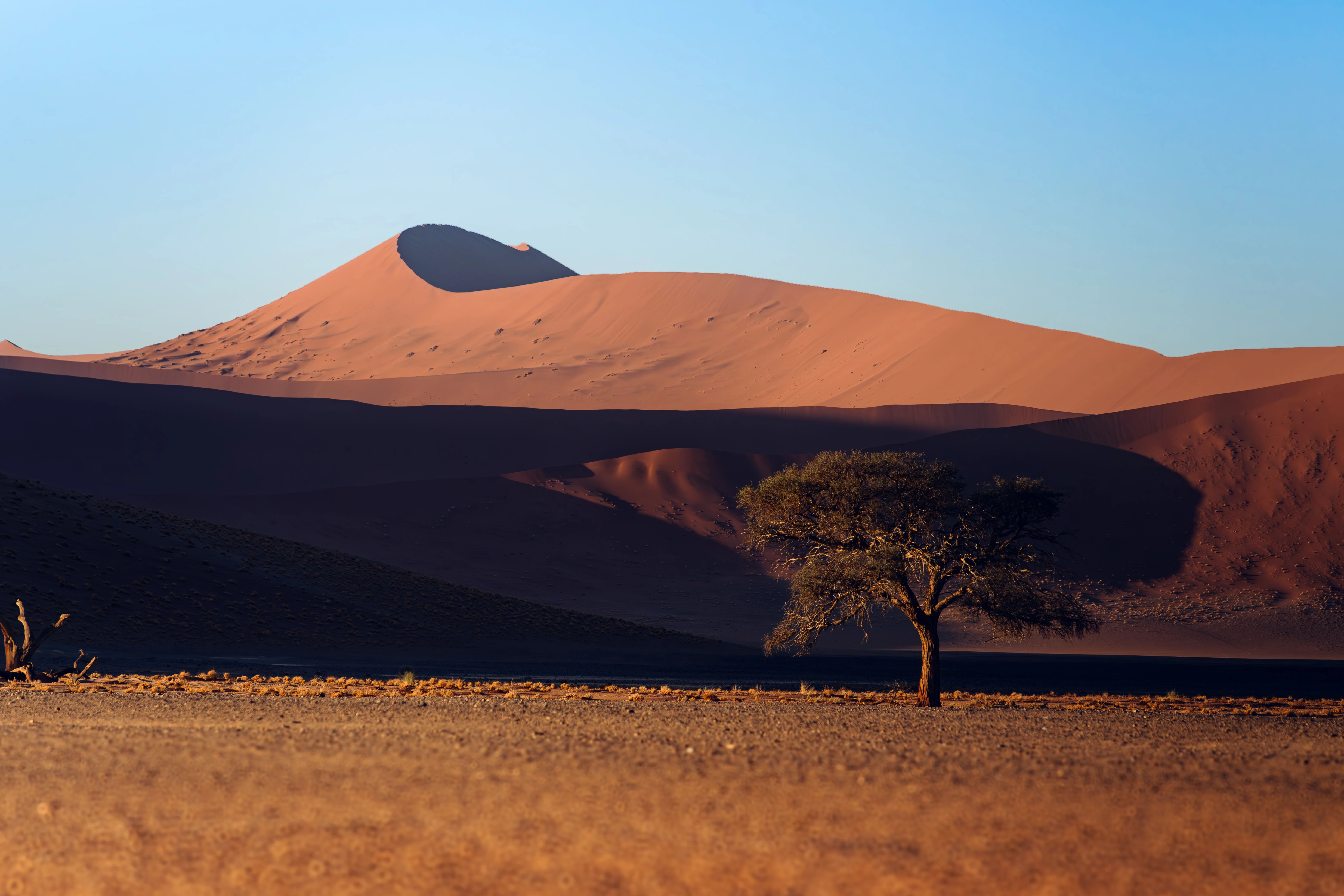 Namibie — destination voyage Amanéa