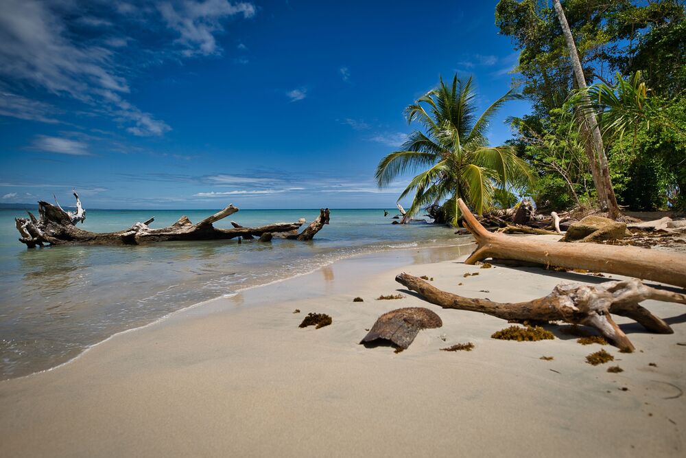 Costa Rica — paysage de voyage Amanéa