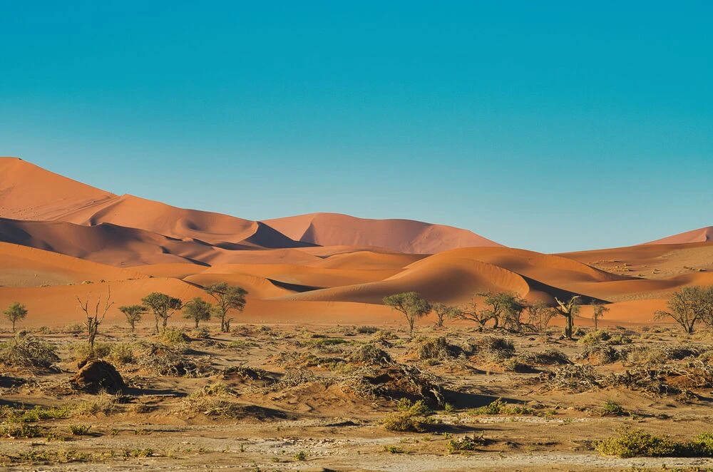 Namibie — paysage de voyage Amanéa